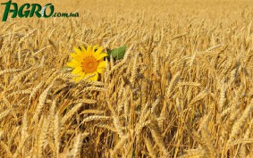 1agro.com.ua
