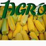 1agro.com.ua