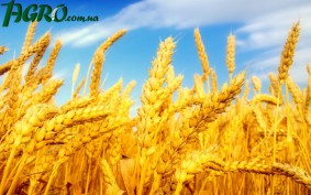 1agro.com.ua
