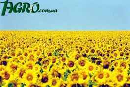 1agro.com.ua