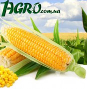 1agro.com.ua