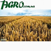 1agro.com.ua