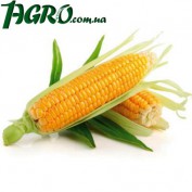 1agro.com.ua