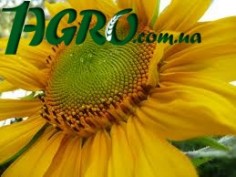 1agro.com.ua