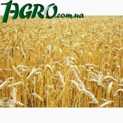 1agro.com.ua