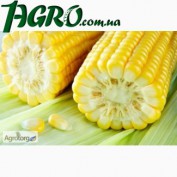 1agro.com.ua