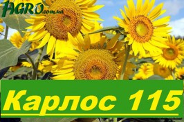 1agro.com.ua