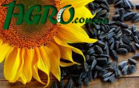 1agro.com.ua