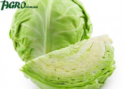 1agro.com.ua