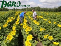 1agro.com.ua