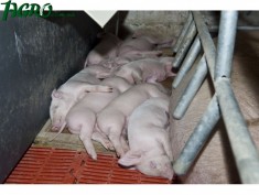 1agro.com.ua