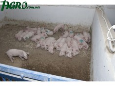 1agro.com.ua