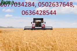 1agro.com.ua