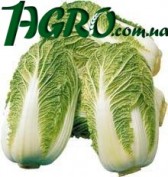 1agro.com.ua