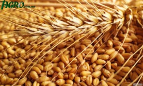 1agro.com.ua