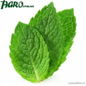 1agro.com.ua