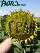 1agro.com.ua