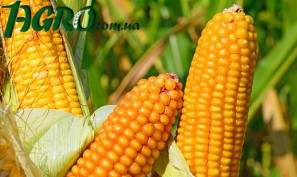 1agro.com.ua