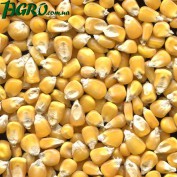 1agro.com.ua