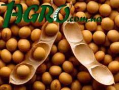 1agro.com.ua