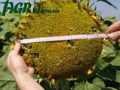 1agro.com.ua