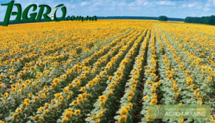 1agro.com.ua