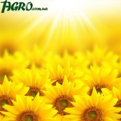 1agro.com.ua