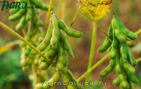 1agro.com.ua