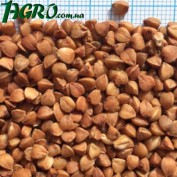 1agro.com.ua