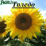 1agro.com.ua