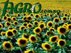 1agro.com.ua