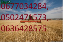 1agro.com.ua