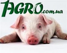1agro.com.ua