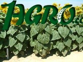 1agro.com.ua
