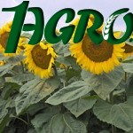 1agro.com.ua
