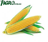 1agro.com.ua