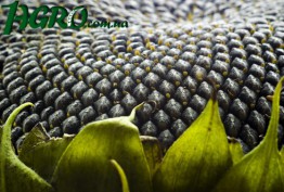 1agro.com.ua