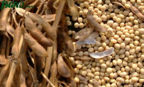 1agro.com.ua