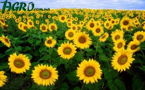 1agro.com.ua