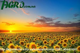1agro.com.ua