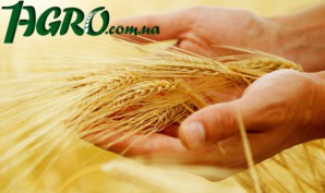 1agro.com.ua