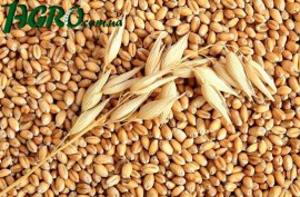 1agro.com.ua