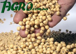 1agro.com.ua