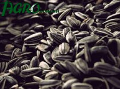 1agro.com.ua