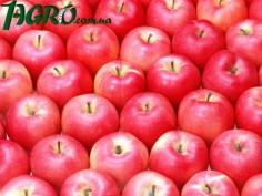 1agro.com.ua