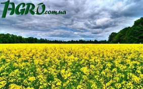 1agro.com.ua