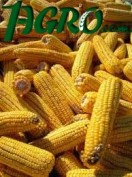 1agro.com.ua