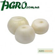 1agro.com.ua