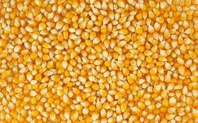 1agro.com.ua