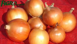 1agro.com.ua